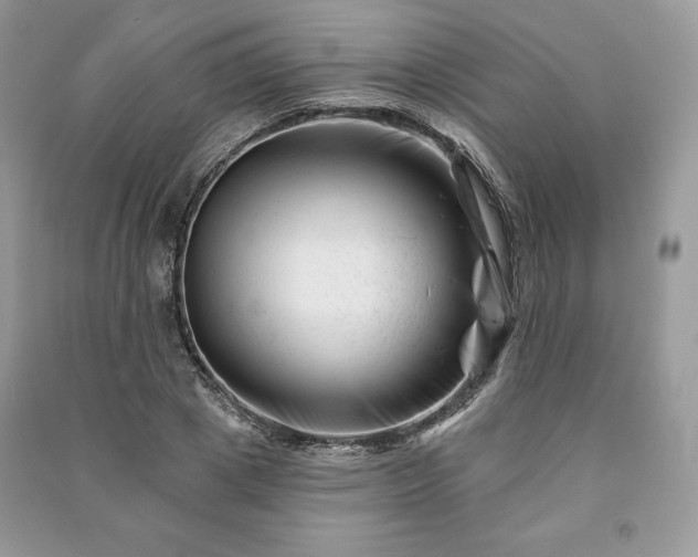 X0000090970833200708091434