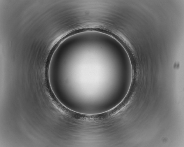 X0000090970834200708091434