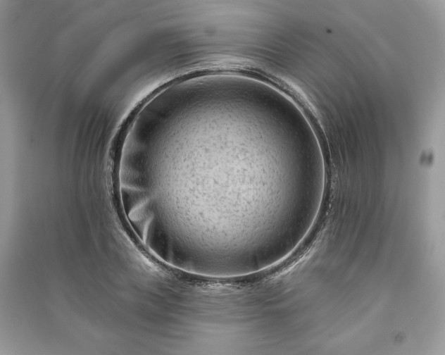 X0000090970835200708091434