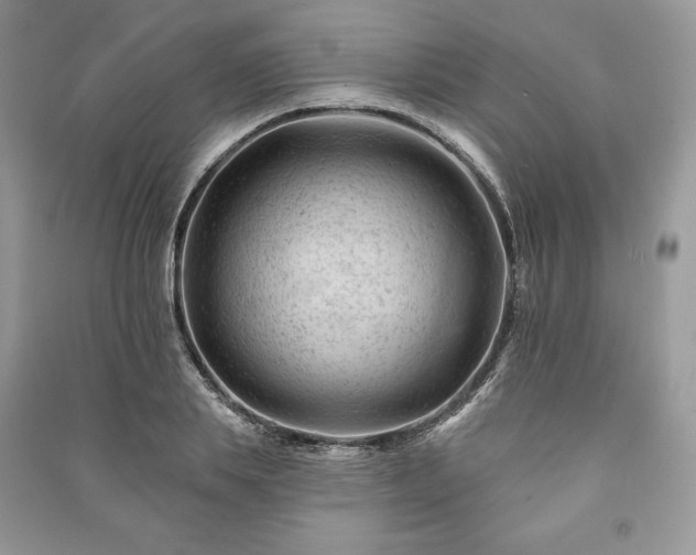 X0000090970839200708091434