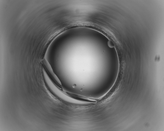 X0000090970841200708091434