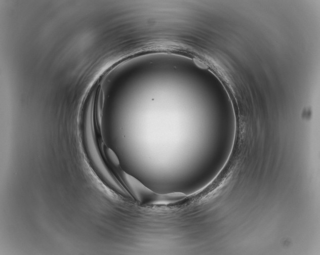 X0000090970843200708091434