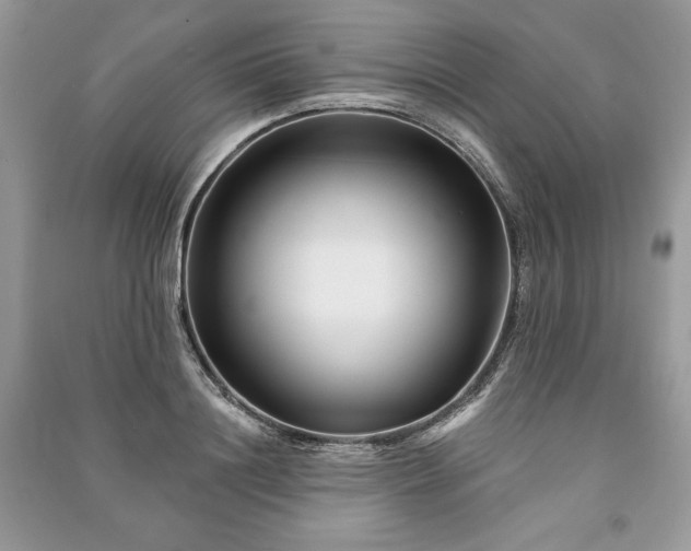 X0000090970844200708091434