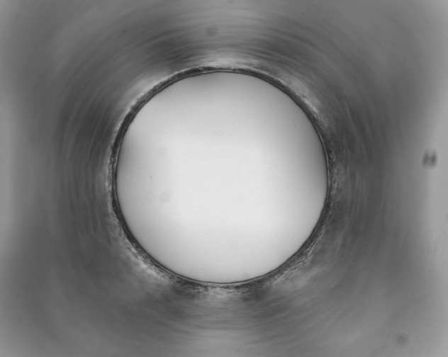 X0000090970848200708091434