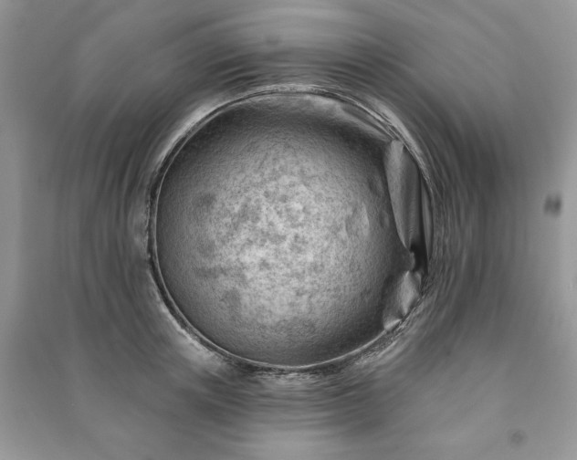 X0000090970851200708091434