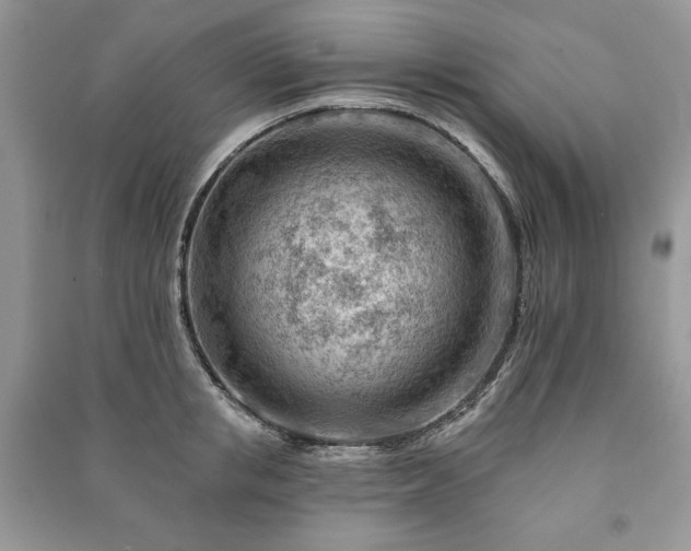 X0000090970853200708091434