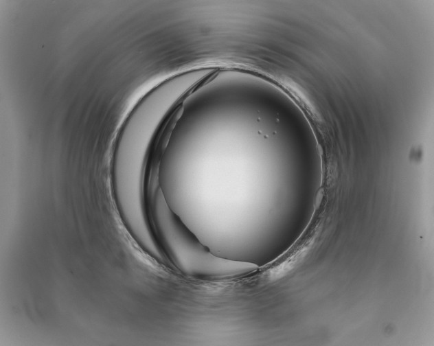 X0000090970854200708091434