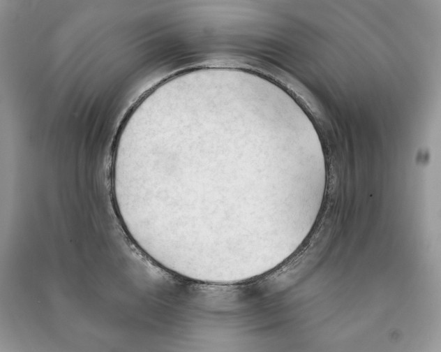 X0000090970856200708091434