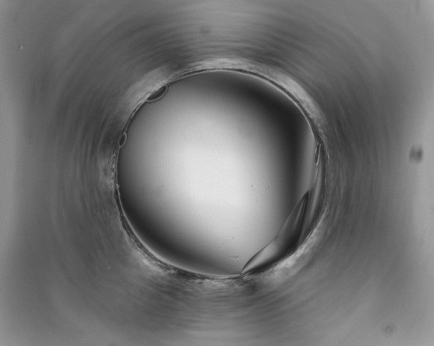 X0000090970857200708091434