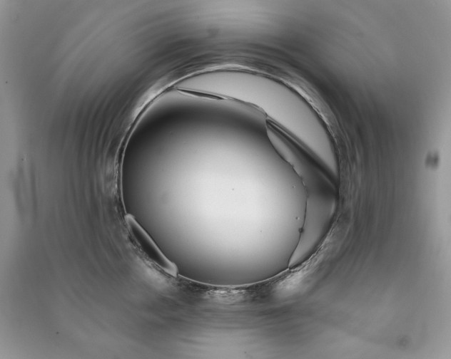 X0000090970858200708091434