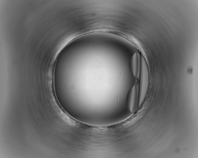 X0000090970859200708091434