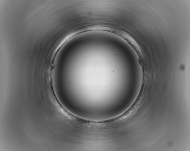 X0000090970860200708091434