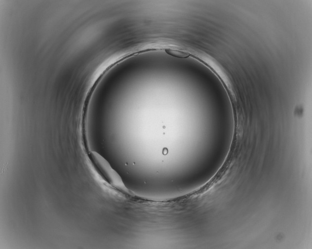 X0000090970861200708091434