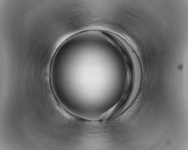 X0000090970862200708091434