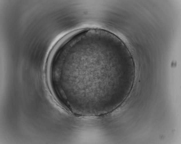 X0000090970864200708091434