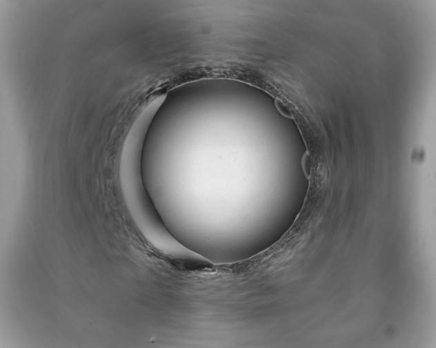 X0000090970865200708091434