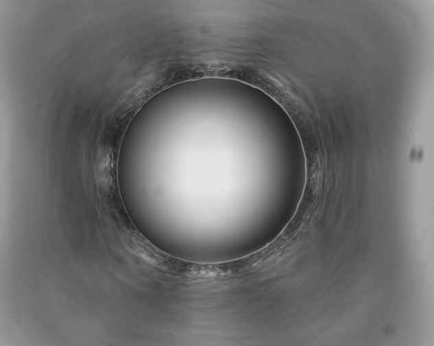 X0000090970866200708091434