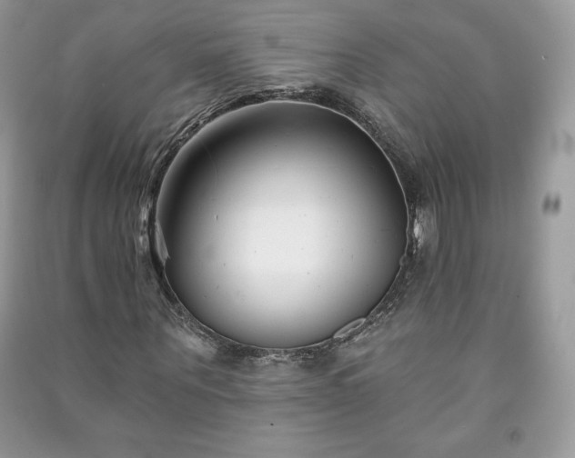 X0000090970867200708091434