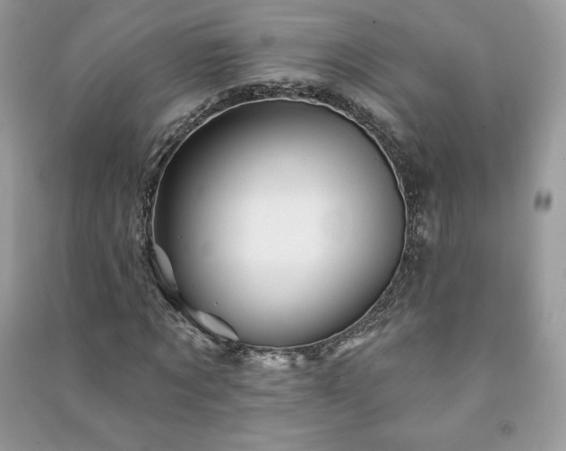 X0000090970869200708091434