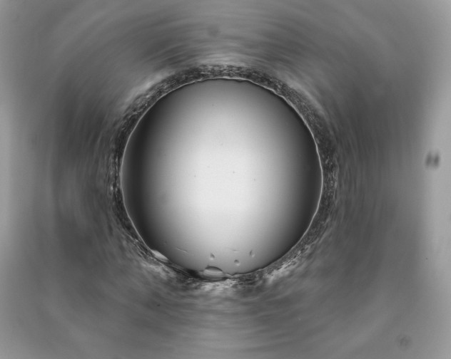 X0000090970870200708091434