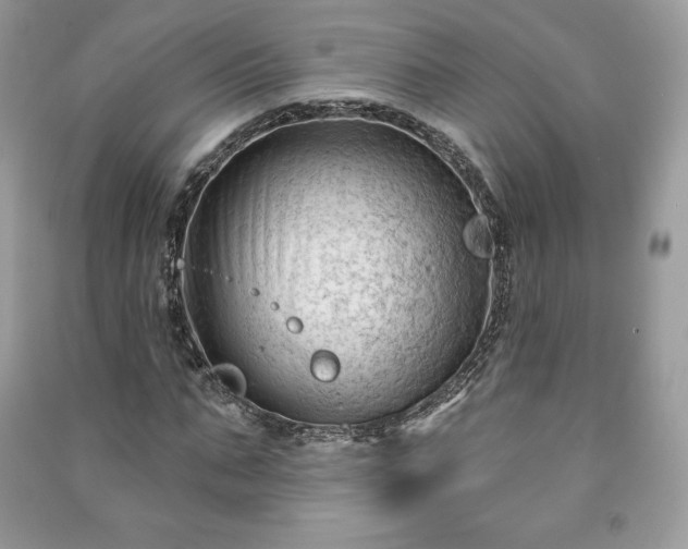 X0000090970871200708091434