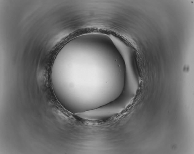 X0000090970872200708091433