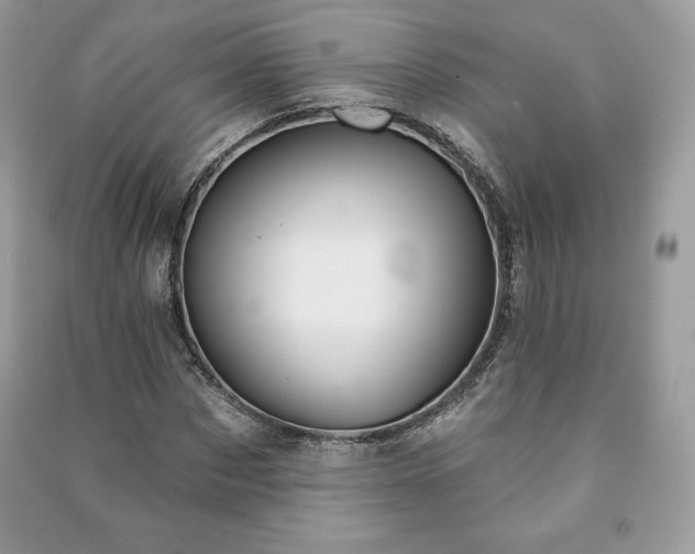 X0000090970873200708091433