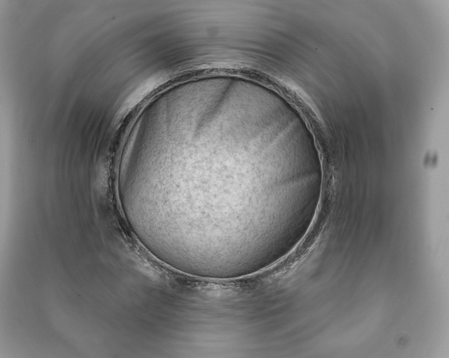 X0000090970874200708091433