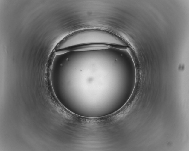 X0000090970875200708091433