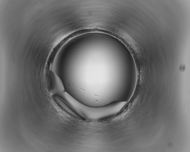 X0000090970876200708091433