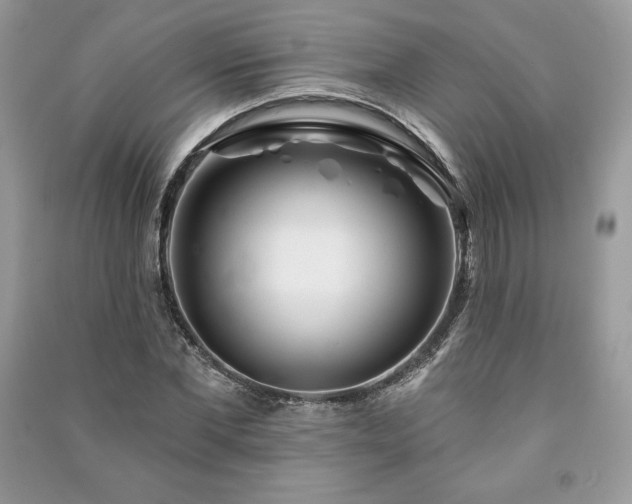 X0000090970877200708091433