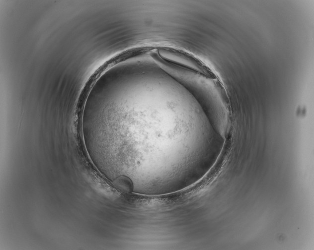 X0000090970879200708091433