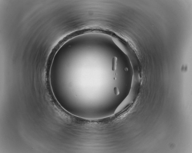 X0000090970880200708091433