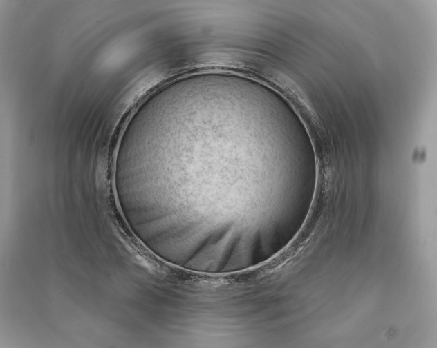 X0000090970882200708091433