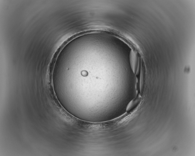 X0000090970883200708091433