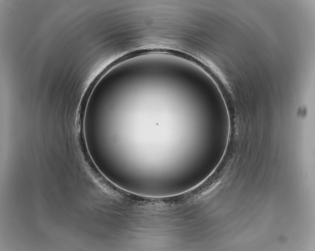 X0000090970885200708091433