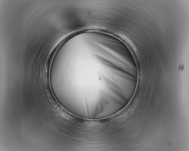 X0000090970886200708091433