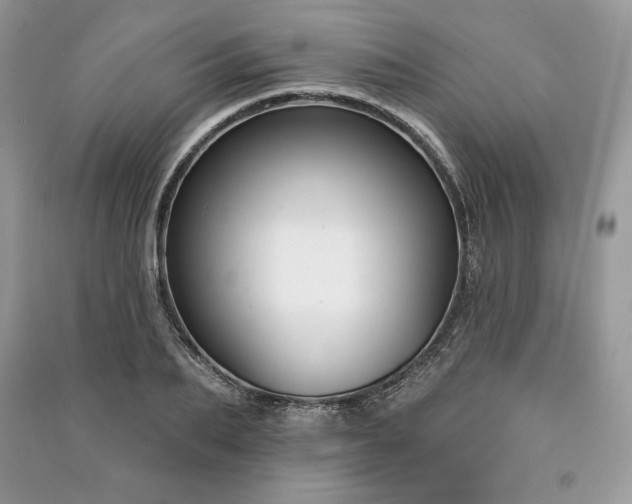 X0000090970887200708091433