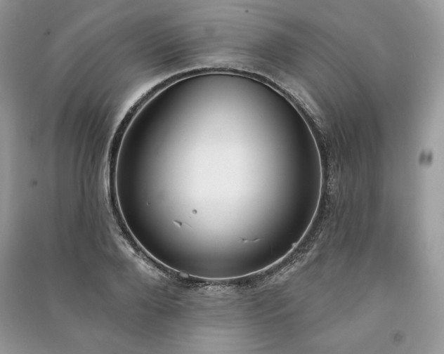 X0000090970888200708091433