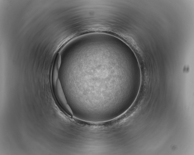 X0000090970889200708091433