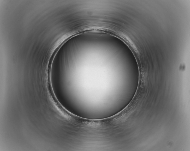 X0000090970890200708091433