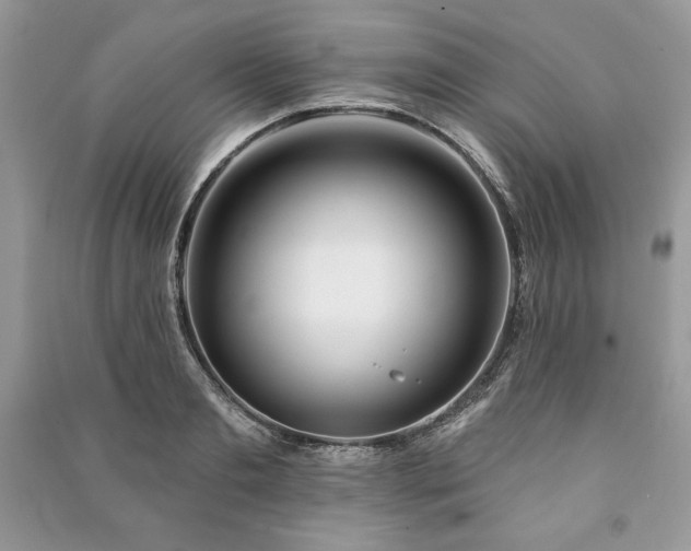 X0000090970893200708091433