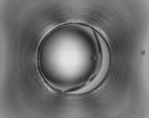 X0000090970894200708091433