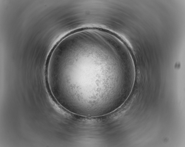 X0000090970895200708091433