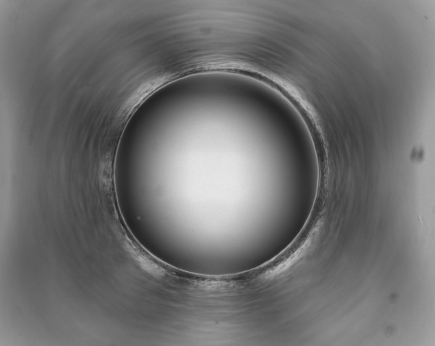 X0000090970897200708091433