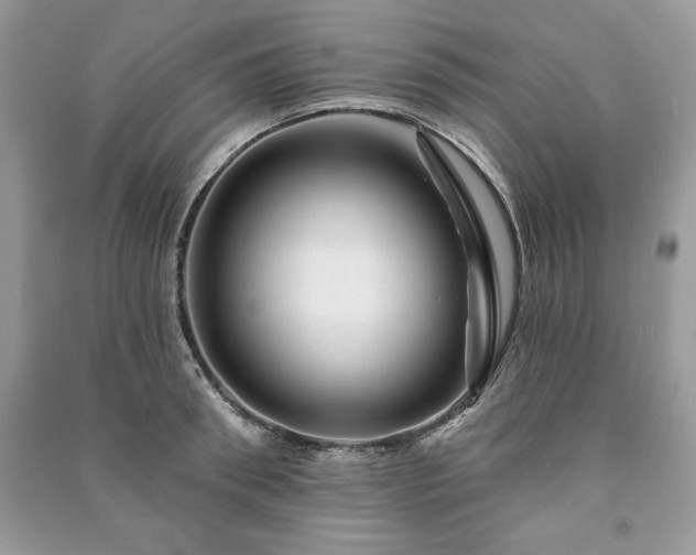 X0000090970898200708091433