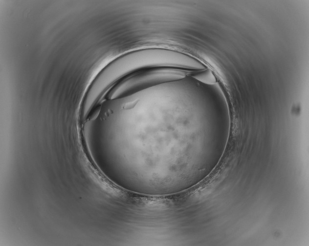 X0000090970899200708091433