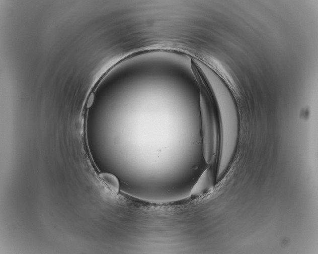 X0000090970900200708091433