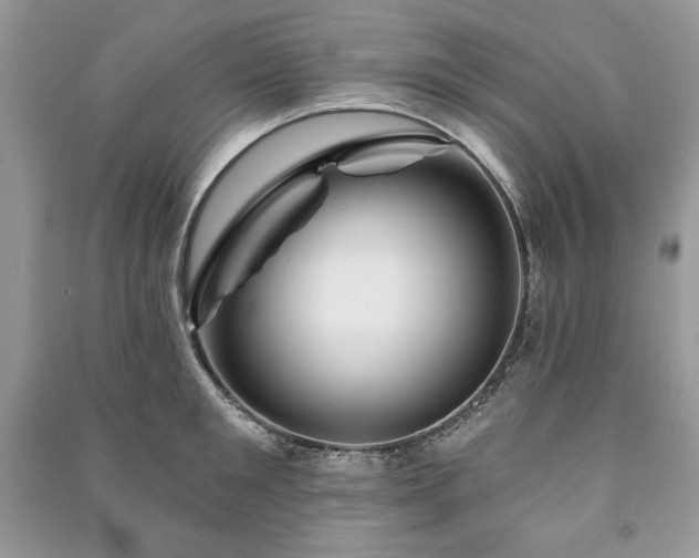 X0000090970901200708091433