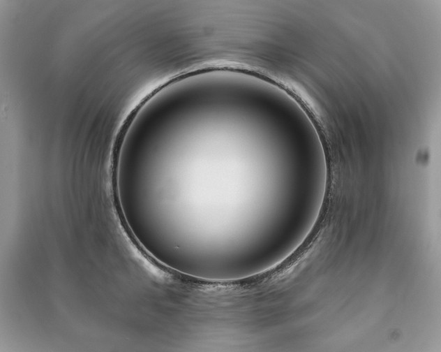 X0000090970902200708091433